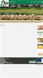 Mobile Screenshot of corderex.com